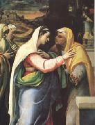 The Visitation (mk05) Sebastiano del Piombo